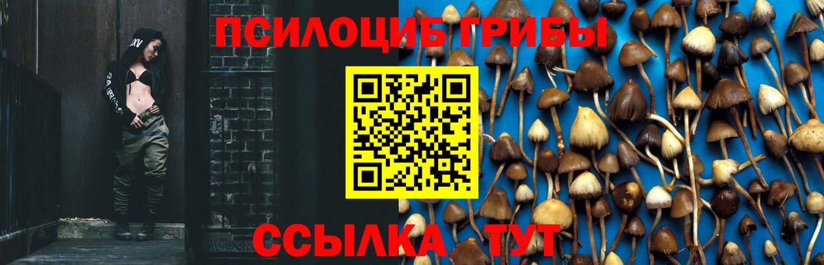 Верхний Уфалей  Галлюциногенные грибы GOLDEN TEACHER  Вход с VPN 
